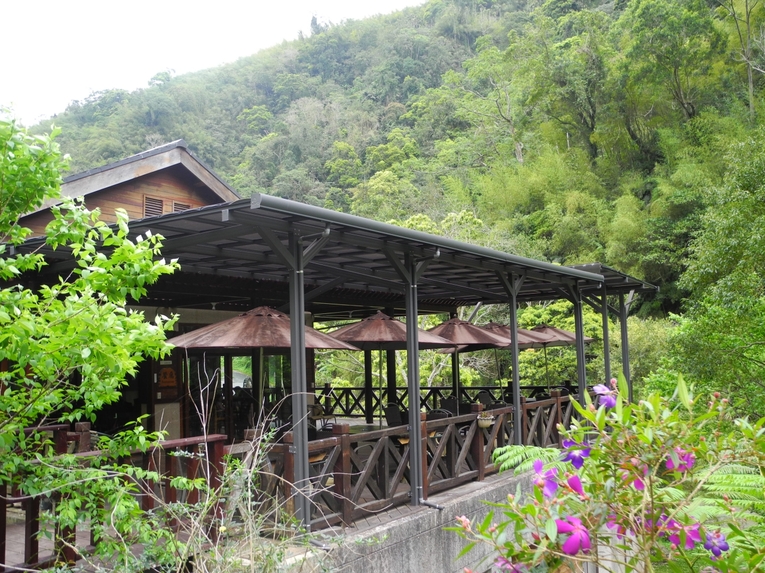 體驗縮圖 - 阿里山【圓潭豀餐廳】假日也可以體驗!!  欣賞螢火蟲生態， 麻油雞、梅干扣肉、合菜  2~10人 體驗