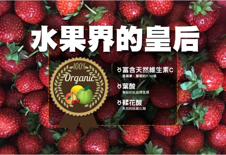 體驗縮圖 - 宅配【吉菓ichico】優選有機草莓禮盒，100%天然有機草莓，全園有機栽種，完全不使用農藥與化肥，可以安心吃下肚！果實飽滿色澤鮮艷，多汁健康的酸甜草莓千萬別錯過產季囉！
