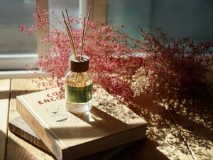 體驗縮圖 - 宅配【Gradient Cloud 漸變拾氛】室內擴香組，2018草原派對紀念版香氛，以氣味描寫這場遠離喧囂的草原派對！忙碌生活中，讓自己享受閒暇的好時光，讓您一開家門就沉浸在舒適自然的森林系香氛裡！