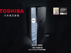 體驗縮圖 - 宅配【日本東芝Toshiba】雙門大容量冰箱，獨家搭載-3℃抗菌鮮凍功能！日本品質，10年變頻壓縮機保固！無邊框玻璃鏡面設計，冷藏冷凍雙層除臭，大蔬果室多功能收納，結合超靜音壓縮機設計，讓您的冰箱保鮮節能無異味的同時用安靜的33分貝為您運轉！