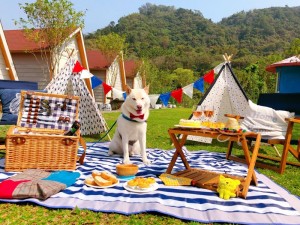 體驗縮圖 - 台北大安【璐露野生活 LULUYELIFE CAFÉ】2~4人戶外野餐籃套餐，來一場甚麼都不用準備懶人野餐，無論餐點設計、擺盤到室內空間超擬真的人造植栽牆，讓人天天都能享受野餐氛圍！網美必備野餐竹籃野餐懶人包！滿足您野餐的理由！