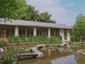 體驗縮圖 - 台中南屯【田寮農莊】7~10人農莊農家桌菜，假日可體驗！來自第一代總舖師的手路菜，使用自家田寮專用米，及自己用心種植所養的食材。各式各樣傳統農家特色餐點，給您最道地的台灣中部古早味料理！