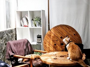 體驗縮圖 - 台北大安【Toast Chat】2-3人輕食燉飯，下班後的晚餐時光最適合到貓咪圍繞的咖啡廳療癒一下！不只有貓，還有舒適的工業風裝潢、好吃的義大利燉飯、沙拉、甜點，滿足了胃又滿足了心，隔天就又有能量迎接工作上的挑戰！