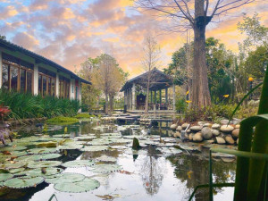 體驗縮圖 - 台中南屯【田寮農莊】2~4人農莊農家菜，假日可體驗！來自第一代總舖師的手路菜，各式各樣傳統農家特色餐點，將辦桌菜轉型成簡餐式的特色套餐！還有放鬆心情的後花園，適合親子共遊的好地方！